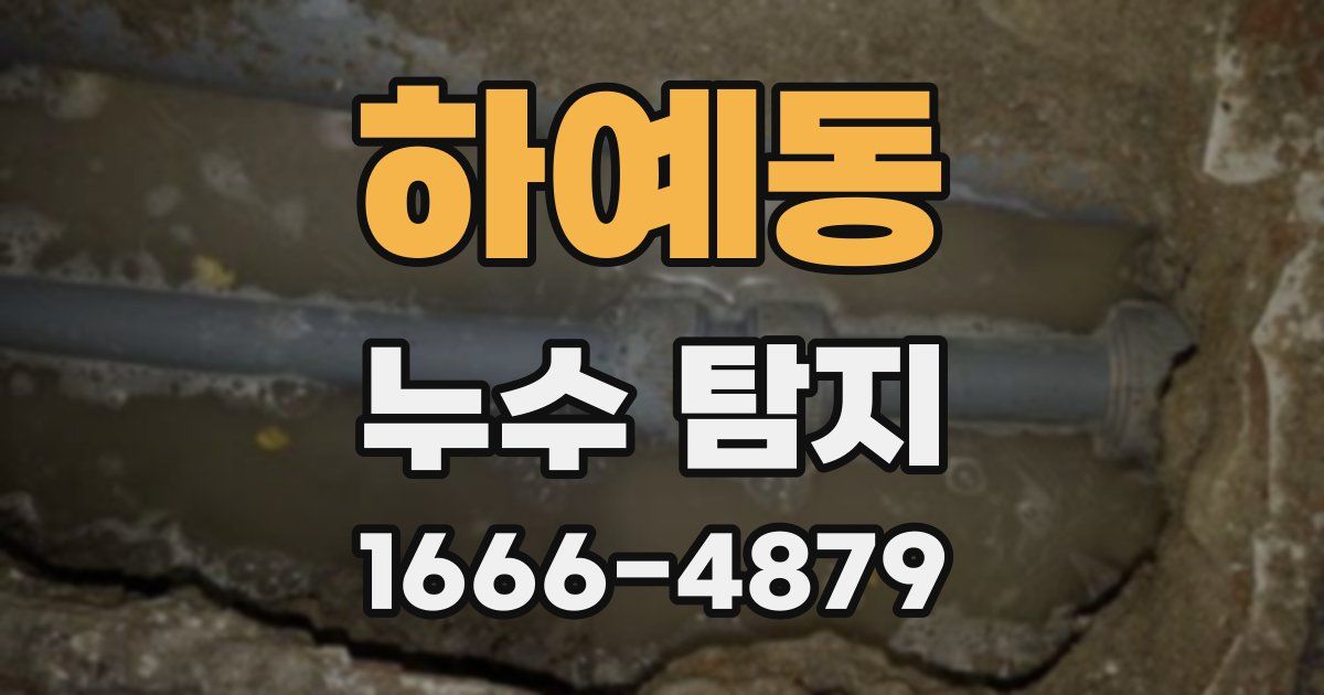 하예동 누수 탐지
