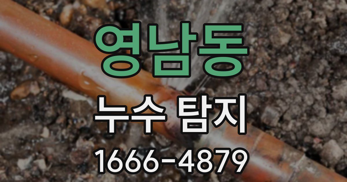 영남동 누수 탐지