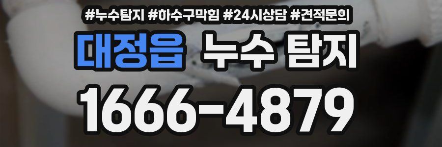 대정읍 누수 탐지