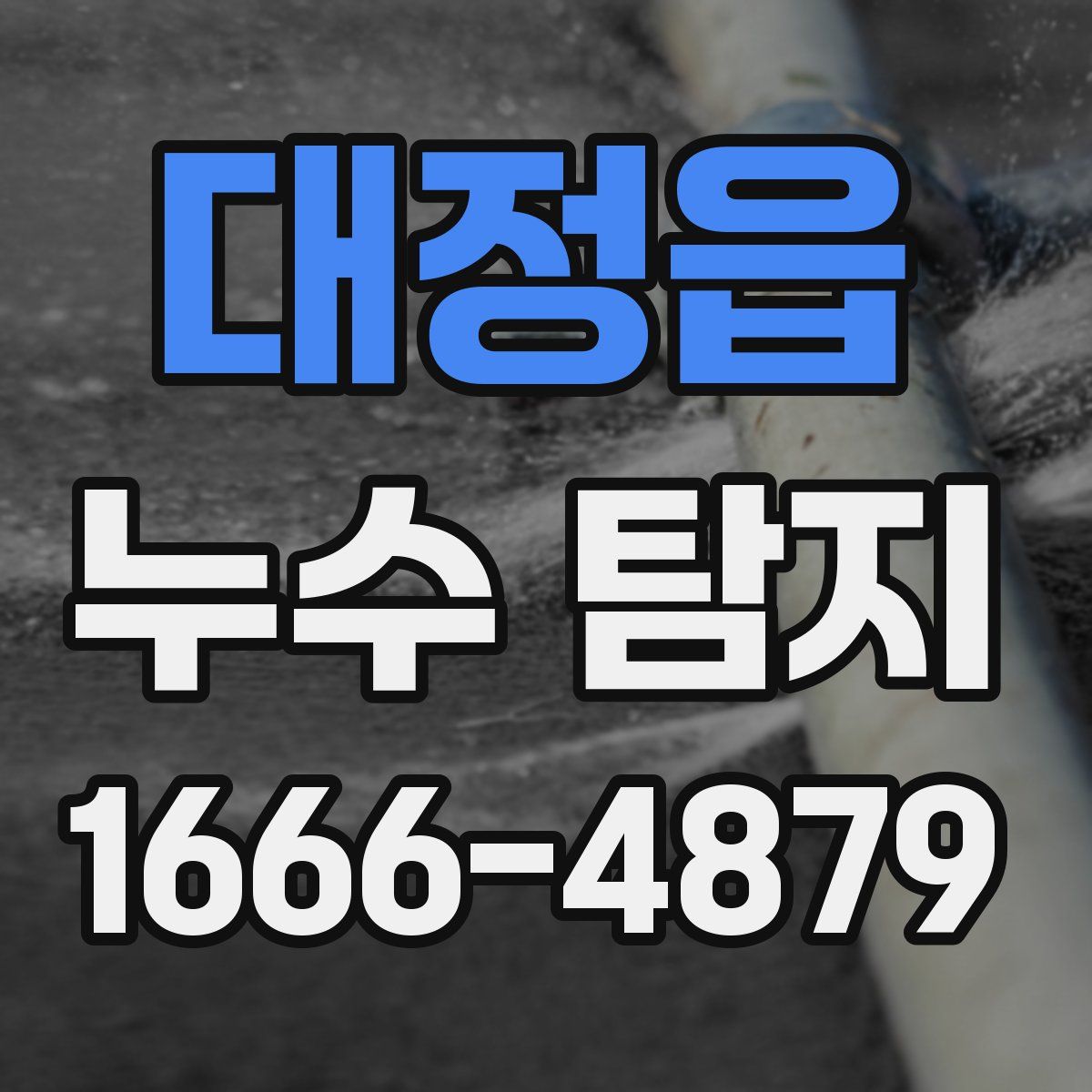 대정읍 누수 탐지