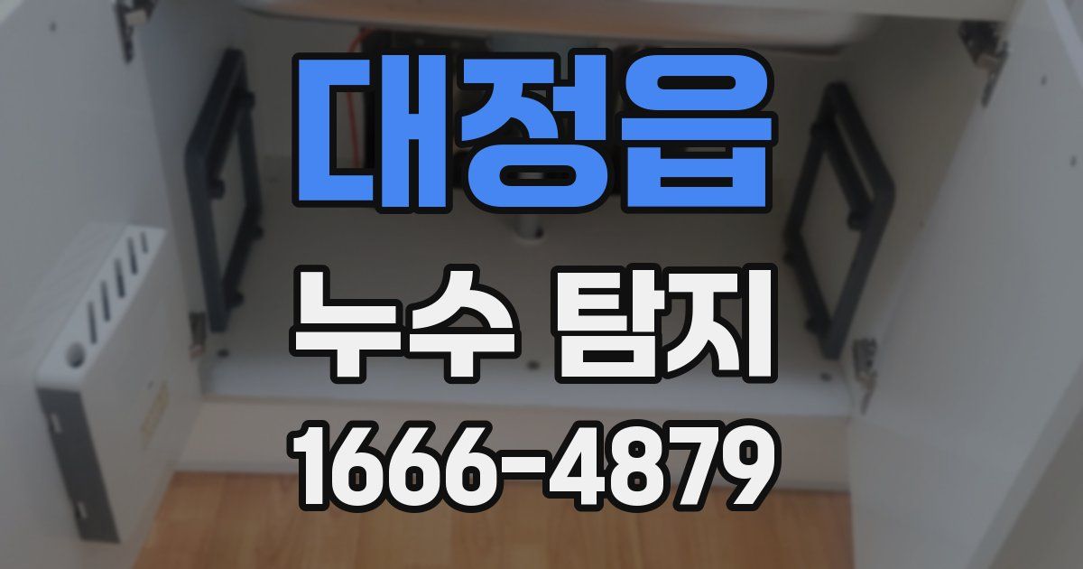대정읍 누수 탐지