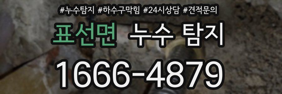 표선면 누수 탐지