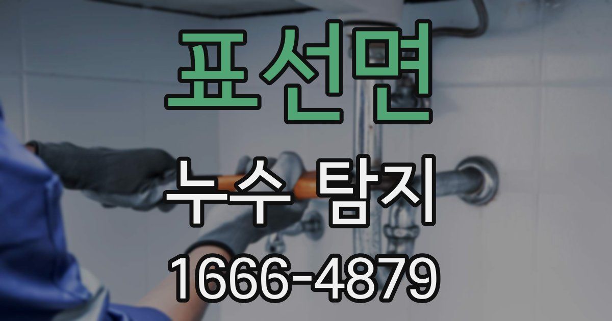 표선면 누수 탐지