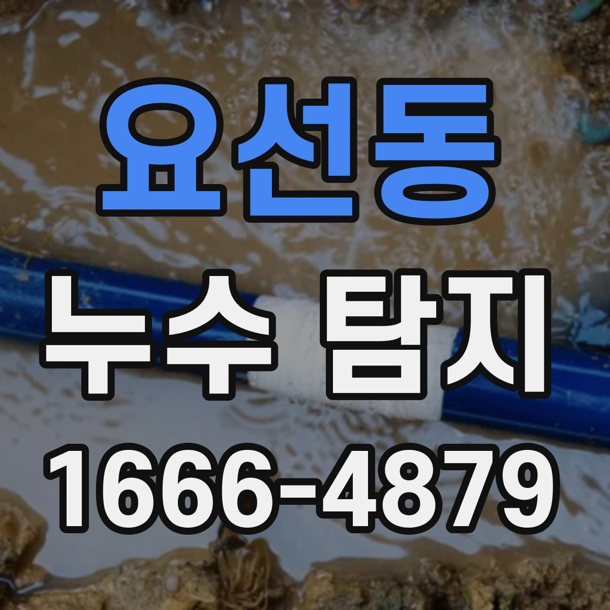 요선동 누수 탐지