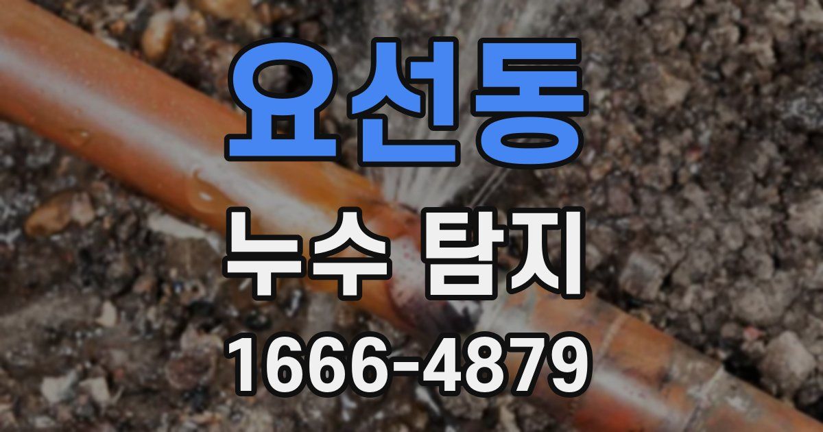 요선동 누수 탐지