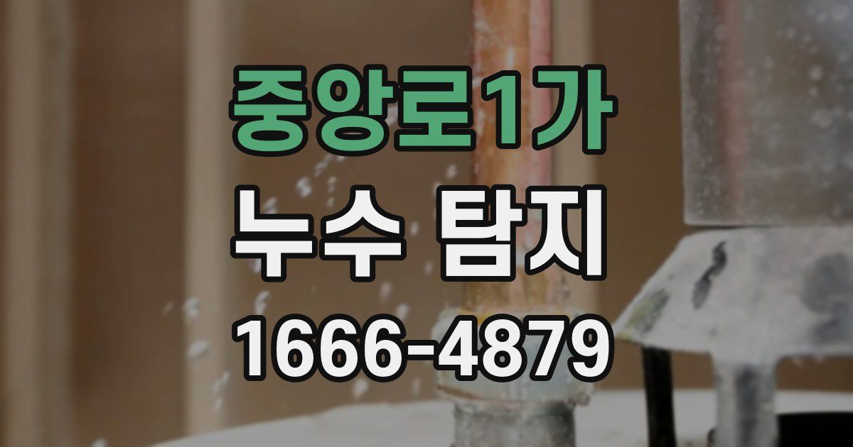 중앙로1가 누수 탐지