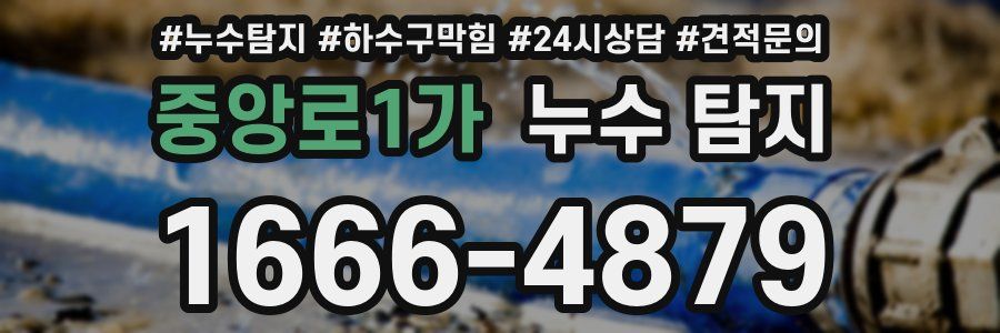 중앙로1가 누수 탐지