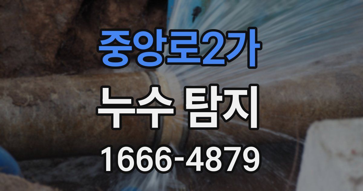 중앙로2가 누수 탐지