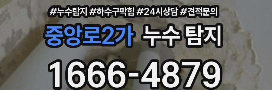 중앙로2가 누수 탐지