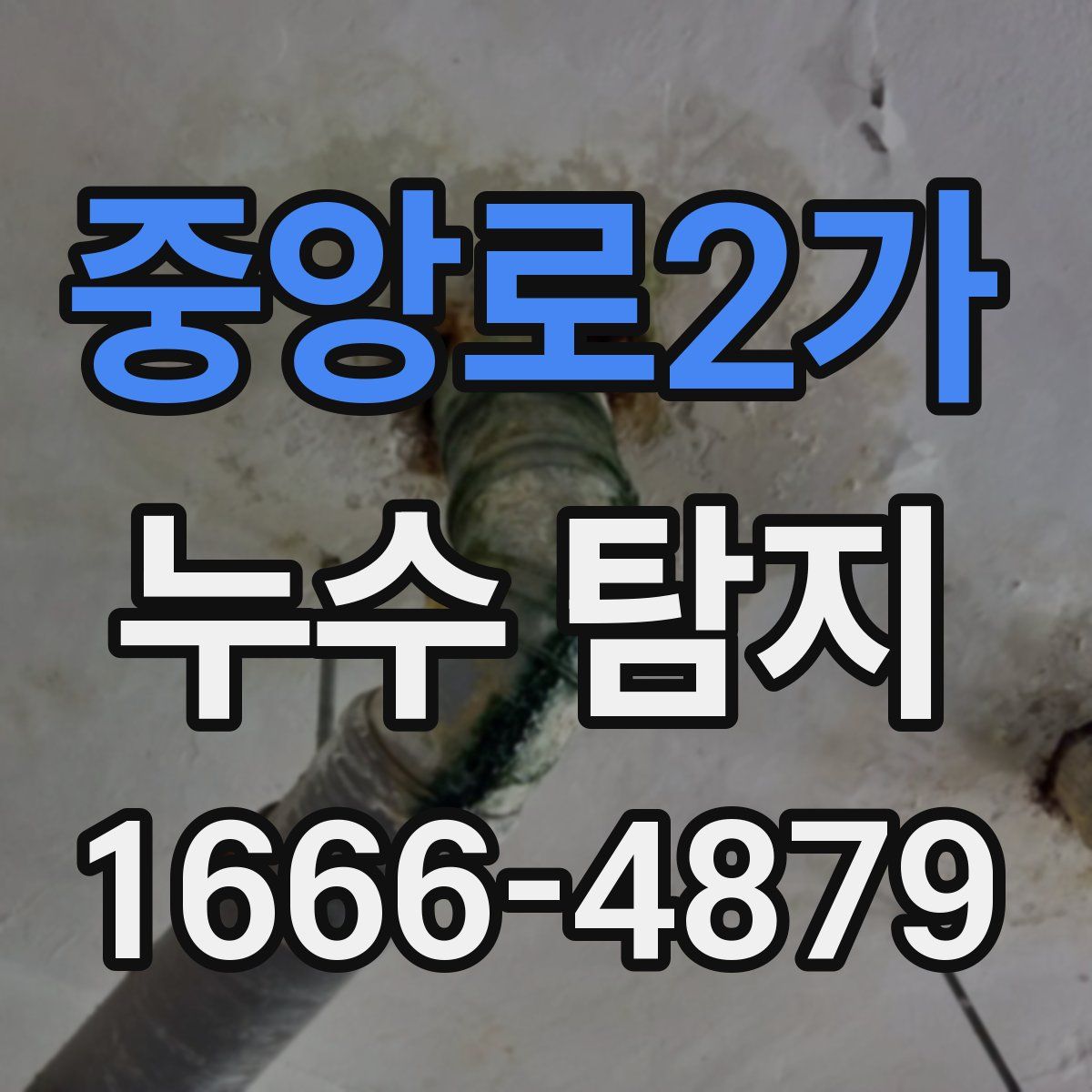 중앙로2가 누수 탐지