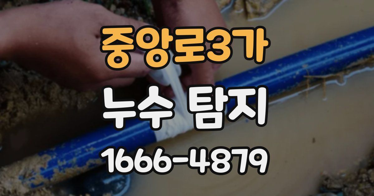 중앙로3가 누수 탐지