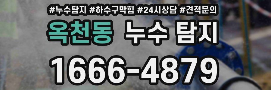 옥천동 누수 탐지