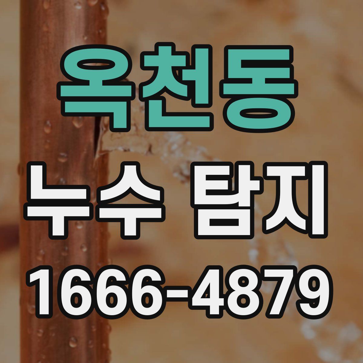 옥천동 누수 탐지