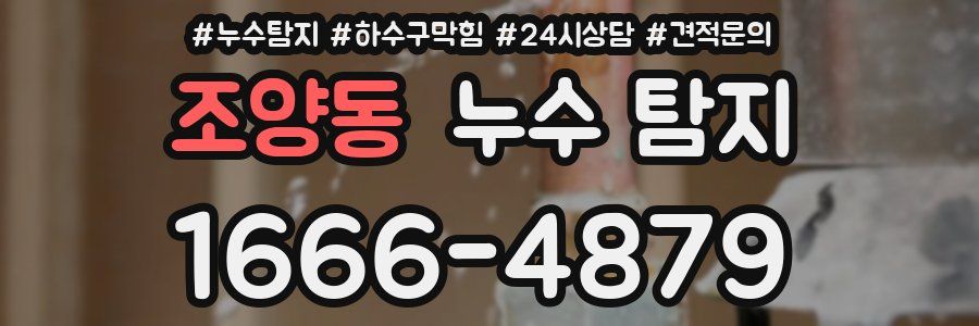 조양동 누수 탐지