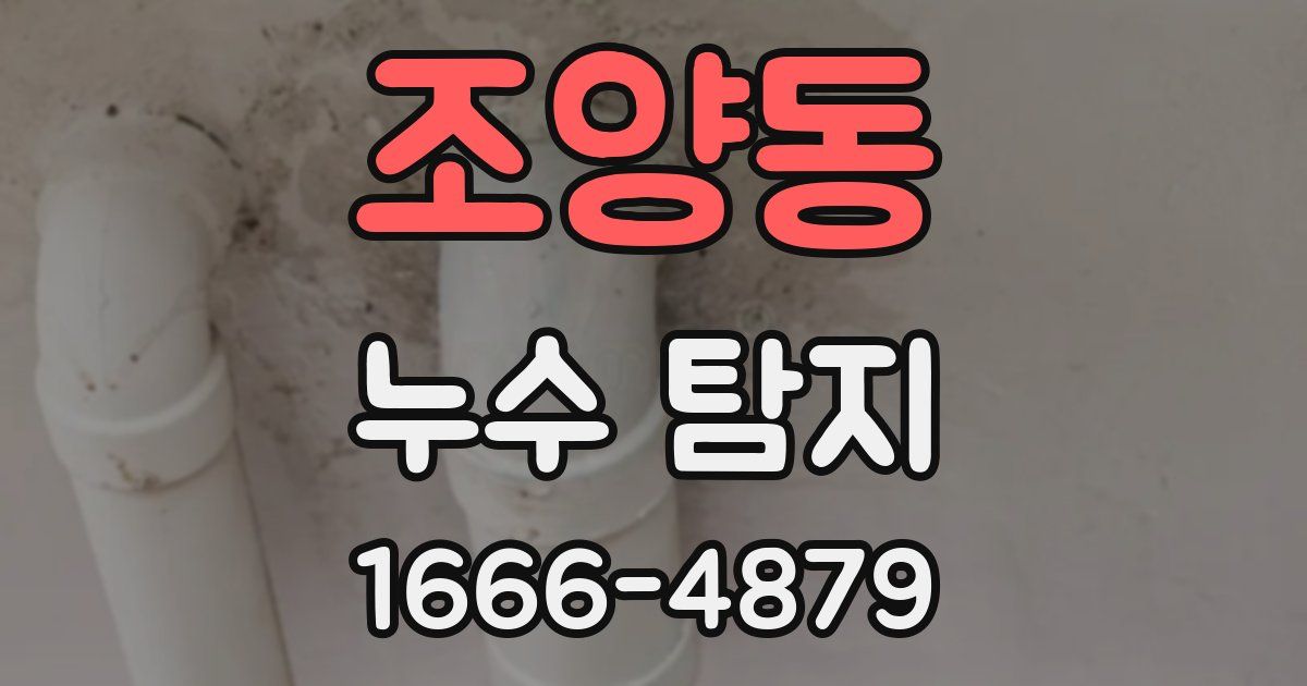 조양동 누수 탐지