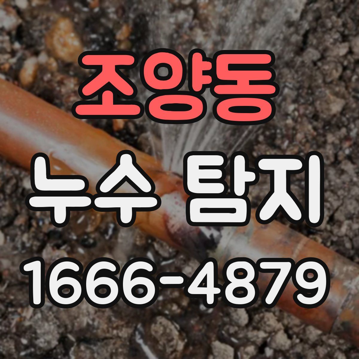 조양동 누수 탐지