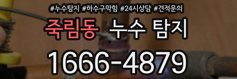 죽림동 누수 탐지