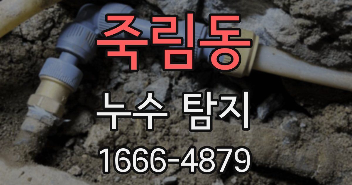 죽림동 누수 탐지