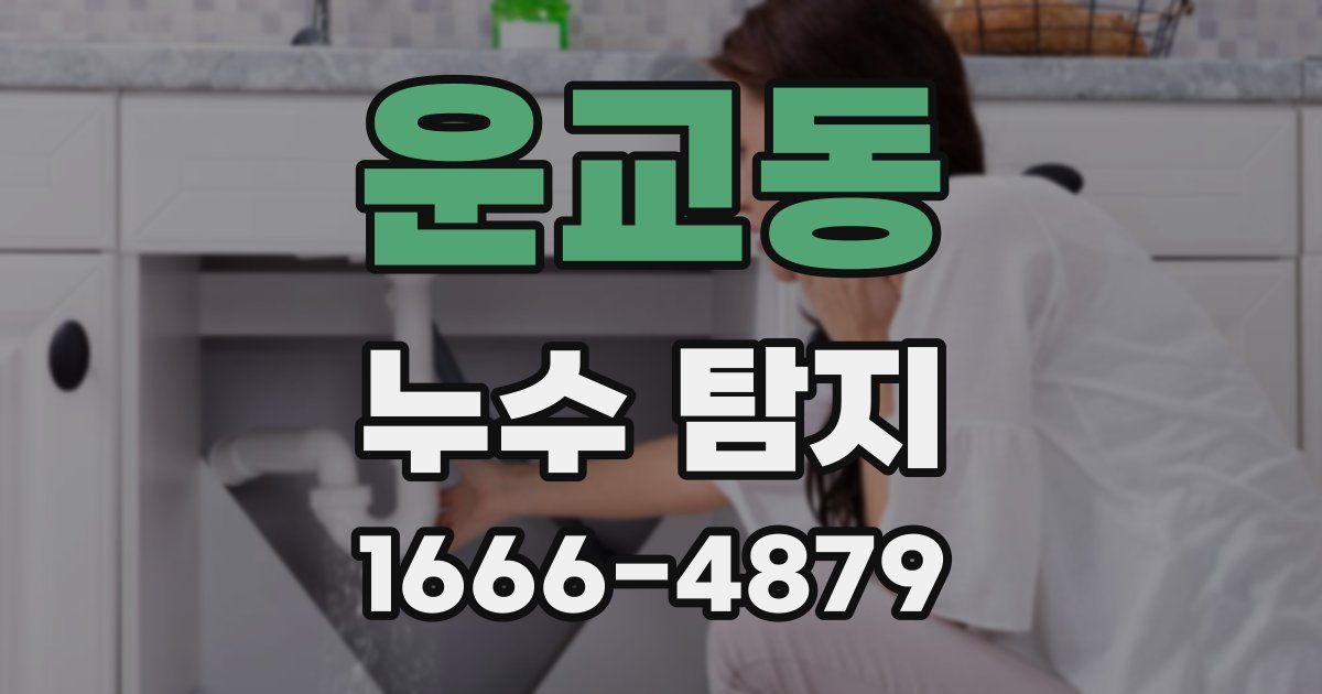 운교동 누수 탐지