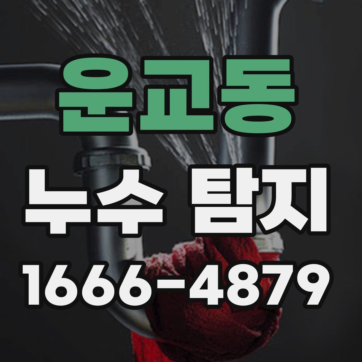 운교동 누수 탐지