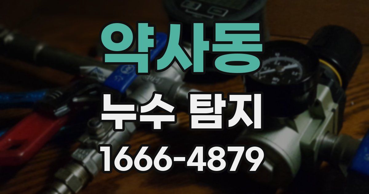 약사동 누수 탐지