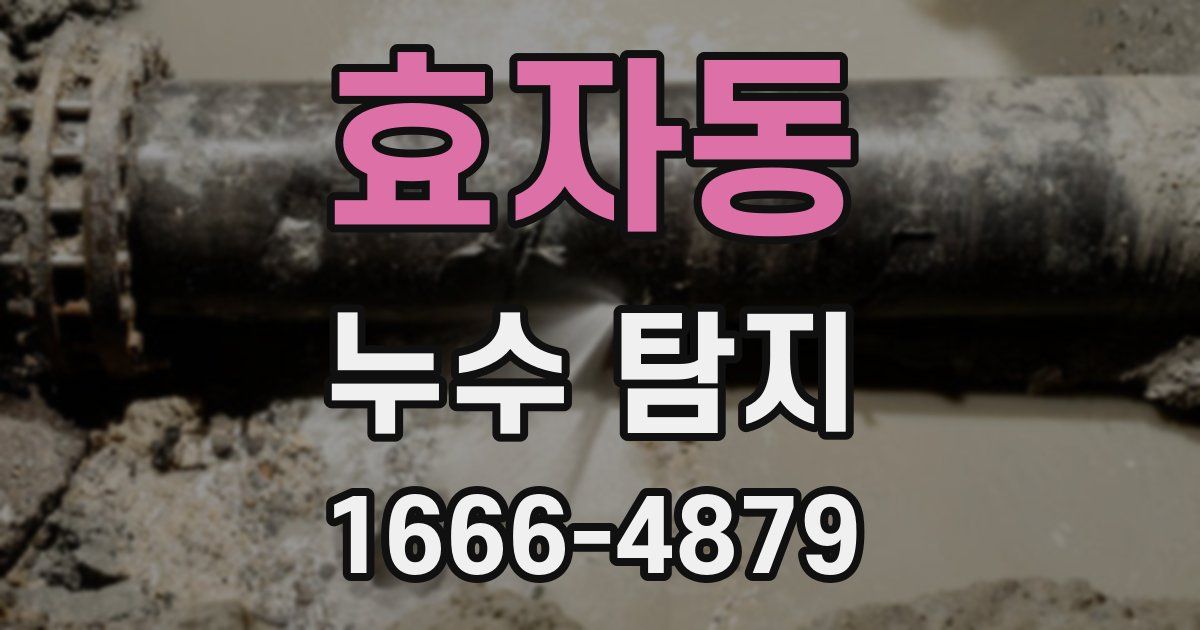 효자동 누수 탐지