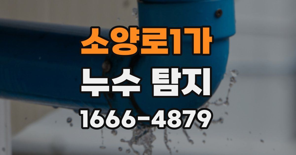 소양로1가 누수 탐지