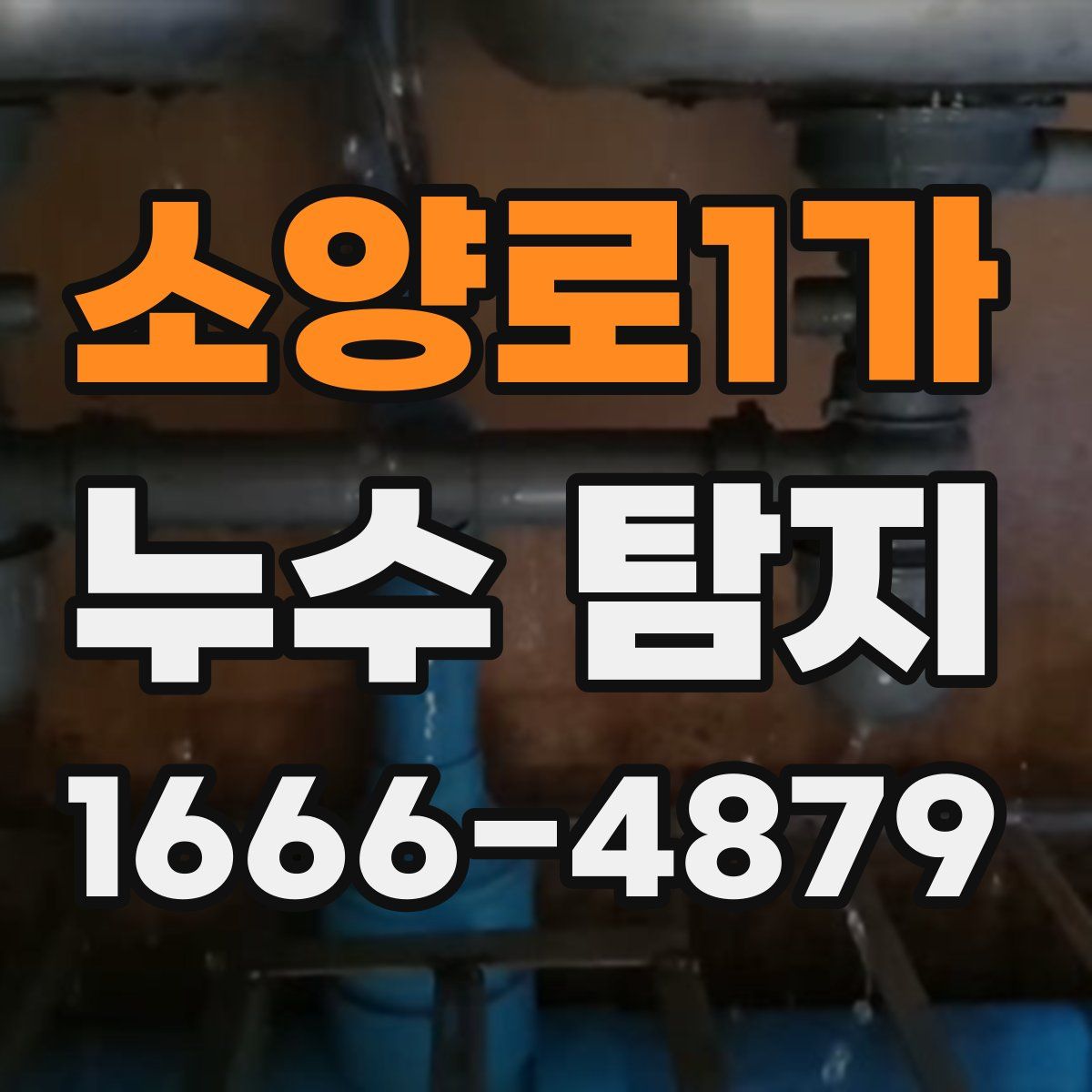 소양로1가 누수 탐지