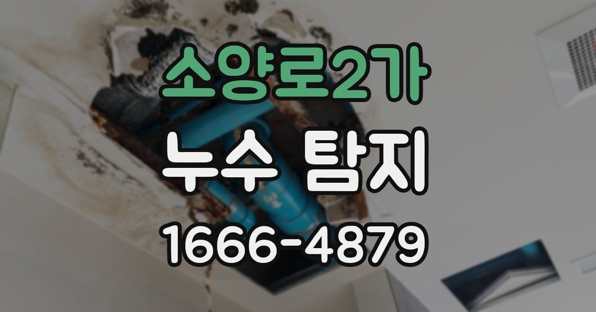 소양로2가 누수 탐지