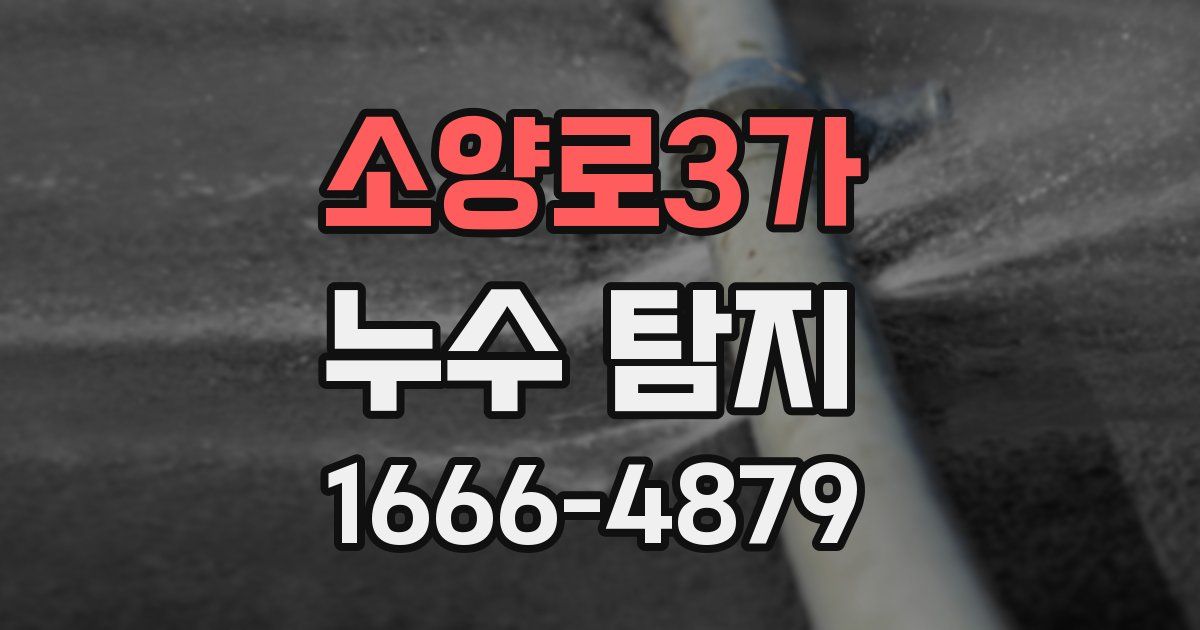 소양로3가 누수 탐지