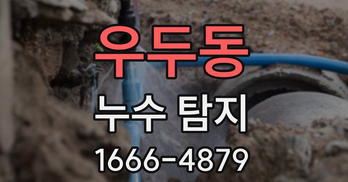 우두동 누수 탐지