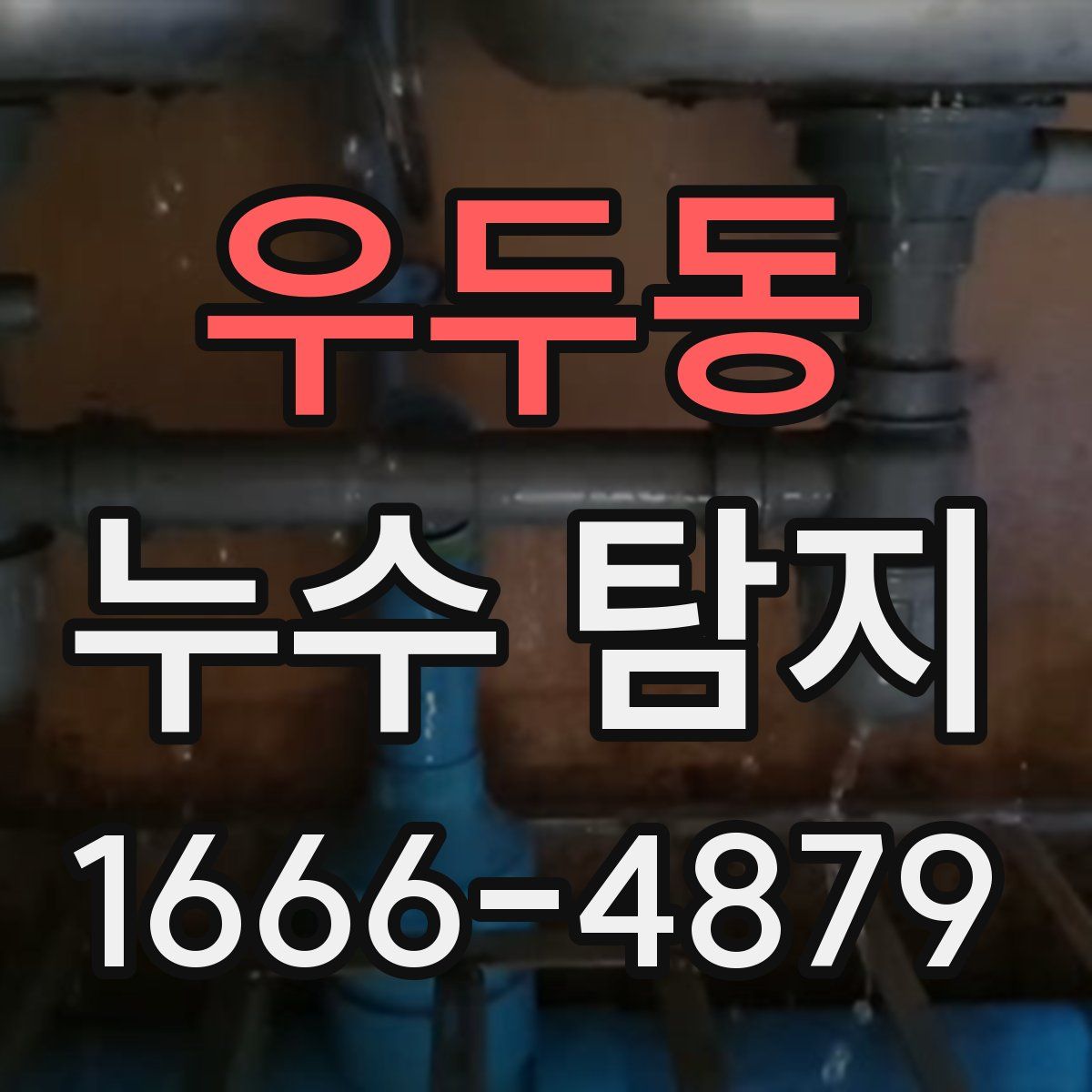 우두동 누수 탐지