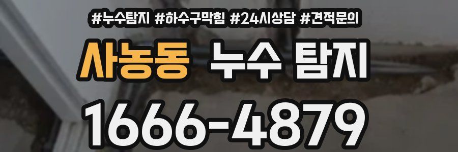 사농동 누수 탐지