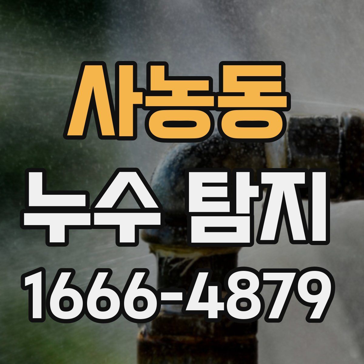 사농동 누수 탐지