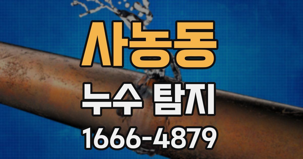 사농동 누수 탐지