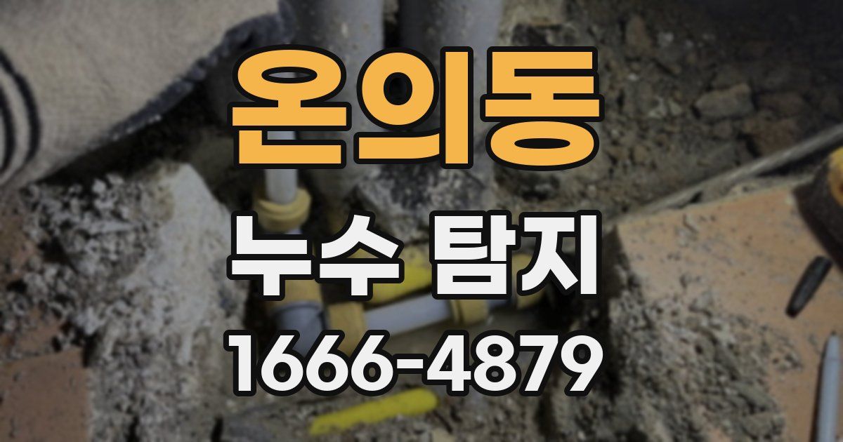 온의동 누수 탐지