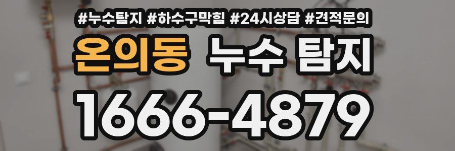 온의동 누수 탐지