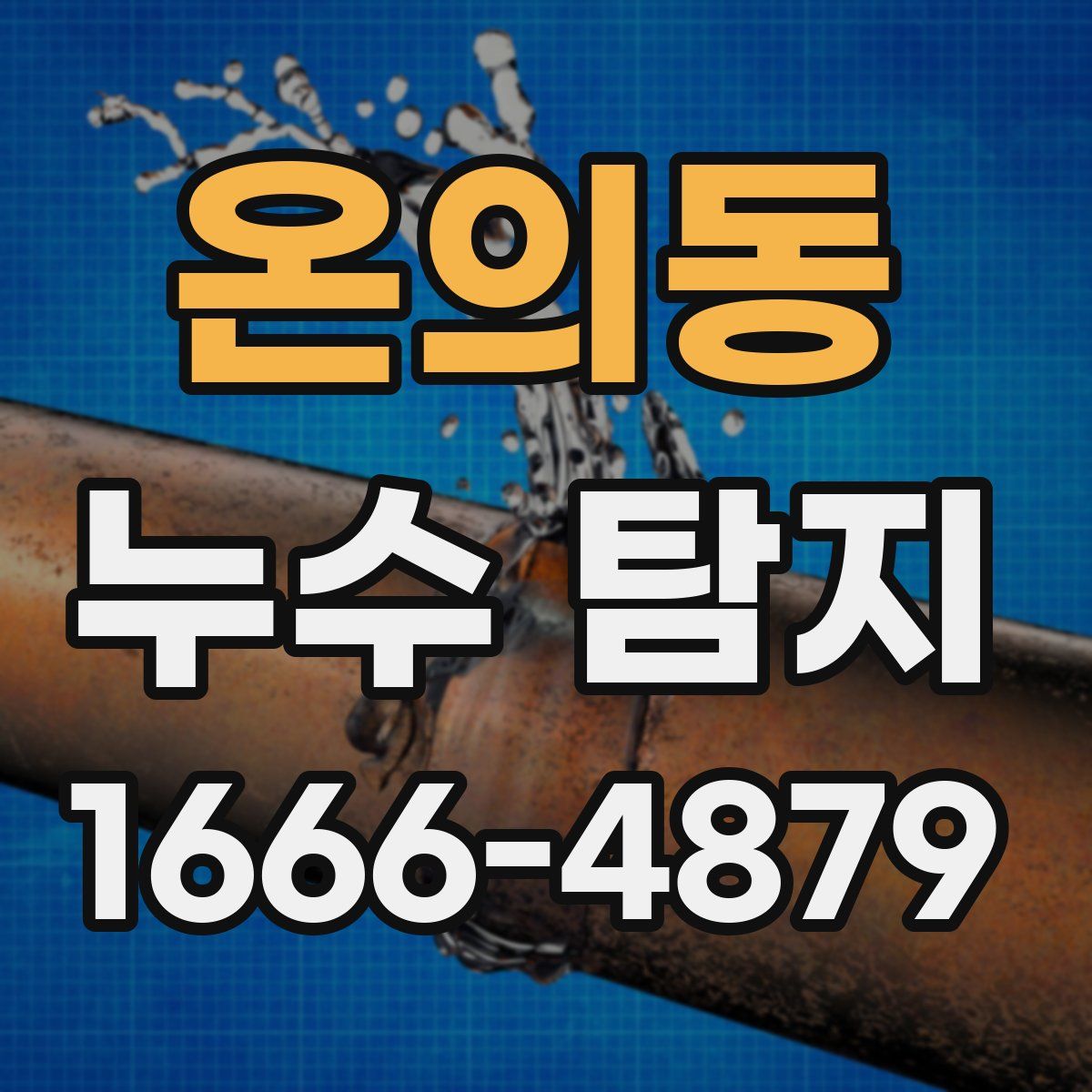 온의동 누수 탐지