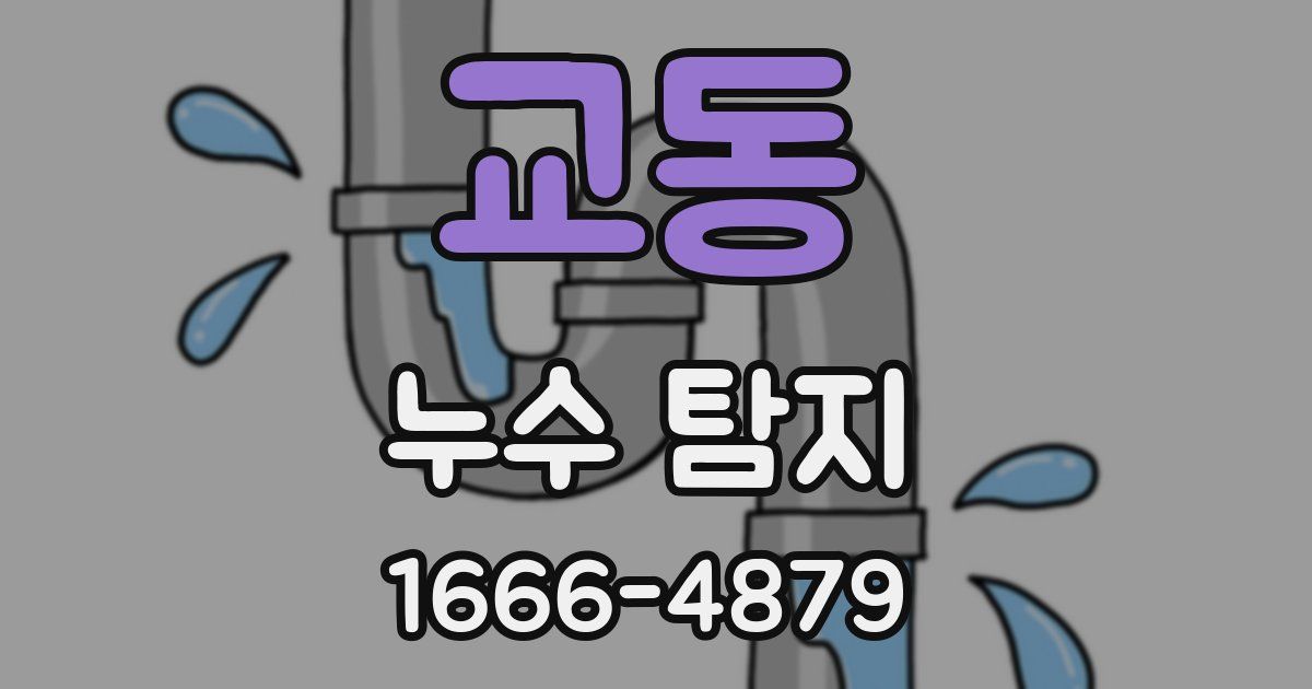교동 누수 탐지