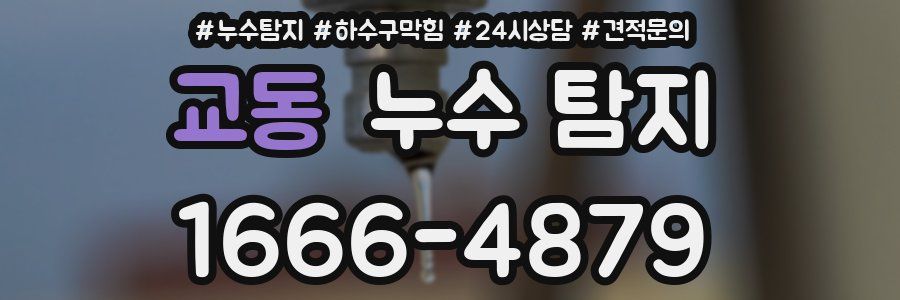 교동 누수 탐지