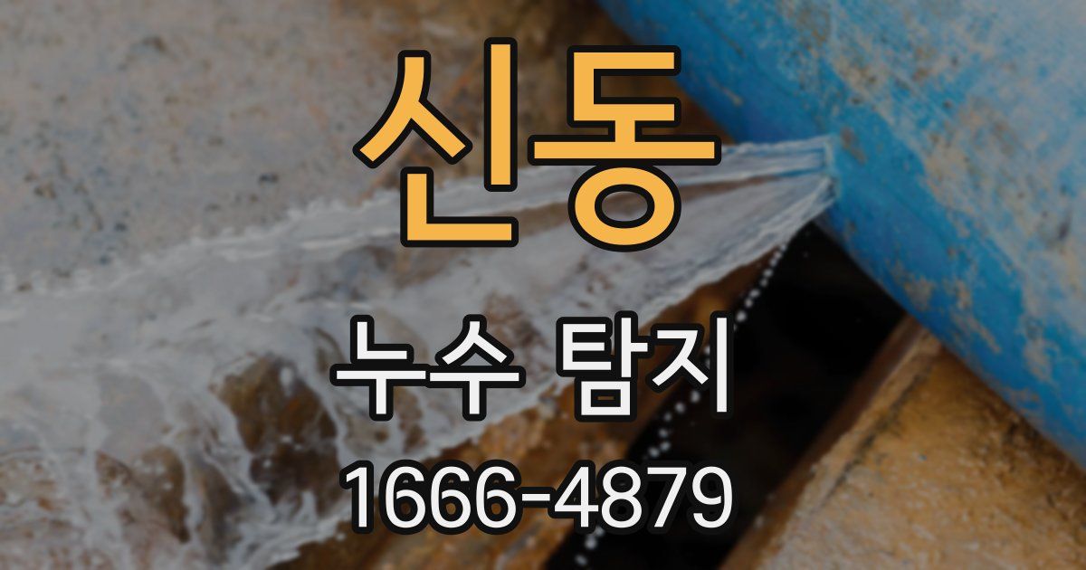 신동 누수 탐지