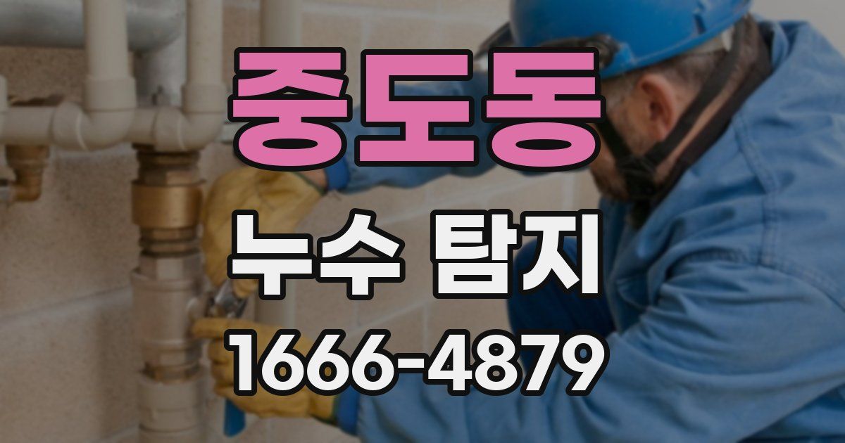 중도동 누수 탐지