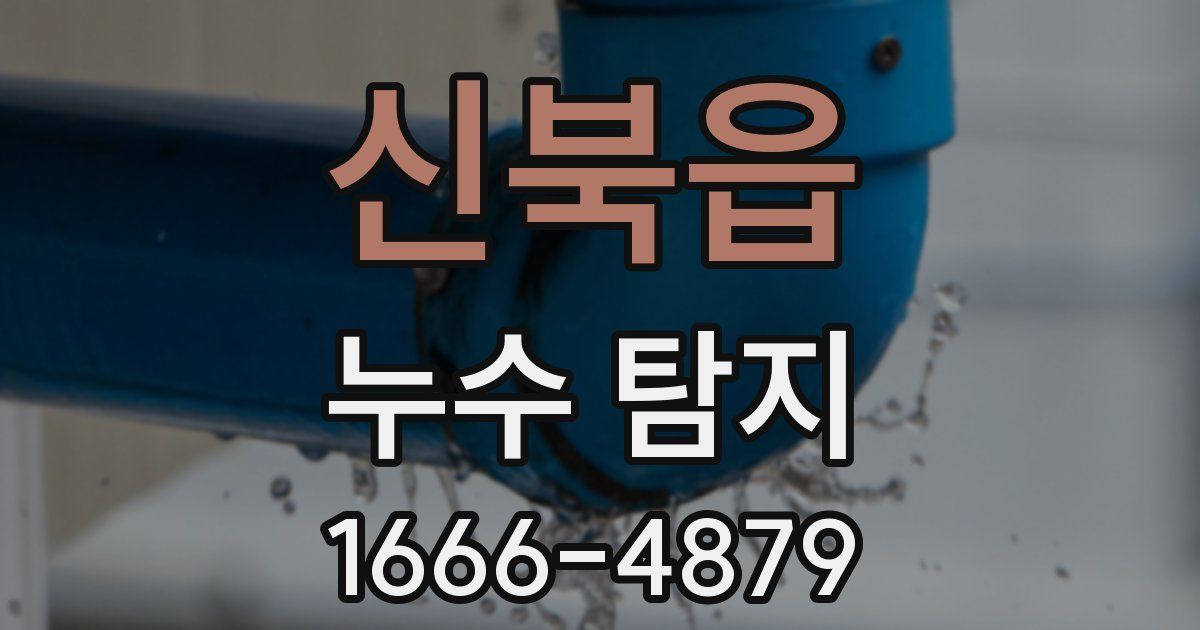 신북읍 누수 탐지