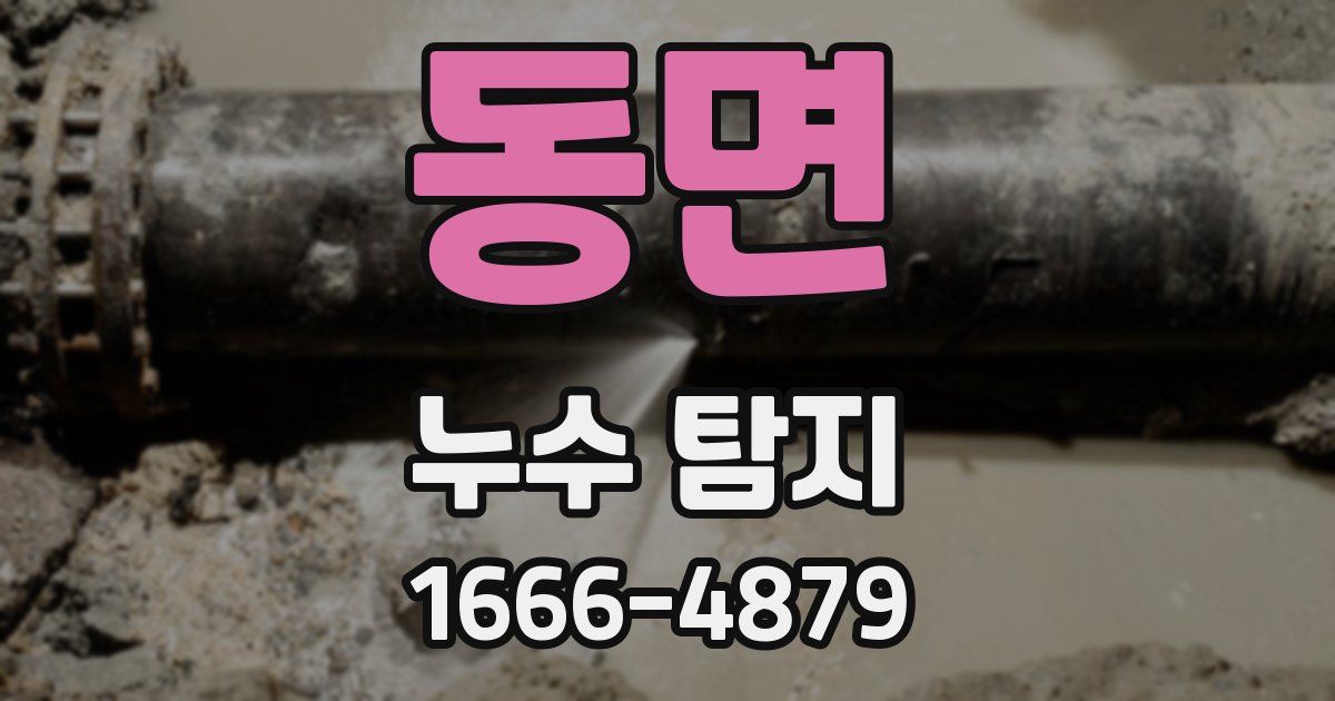 동면 누수 탐지