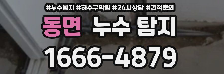동면 누수 탐지