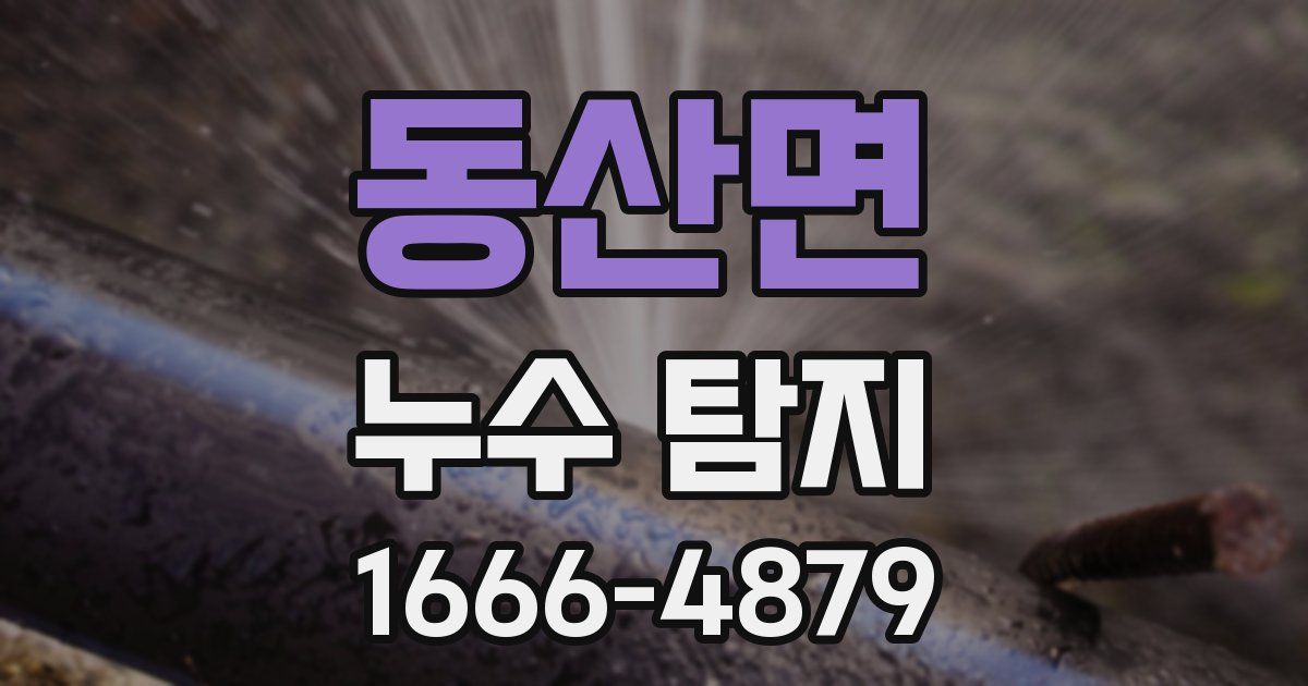동산면 누수 탐지