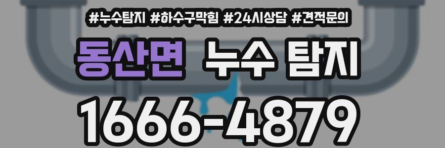 동산면 누수 탐지