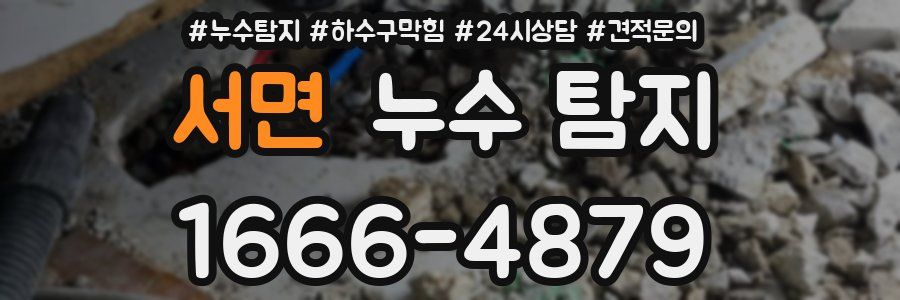 서면 누수 탐지