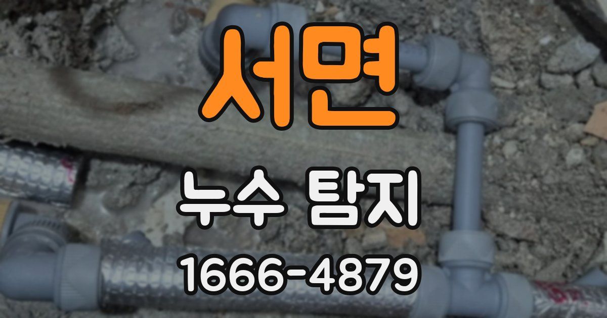 서면 누수 탐지
