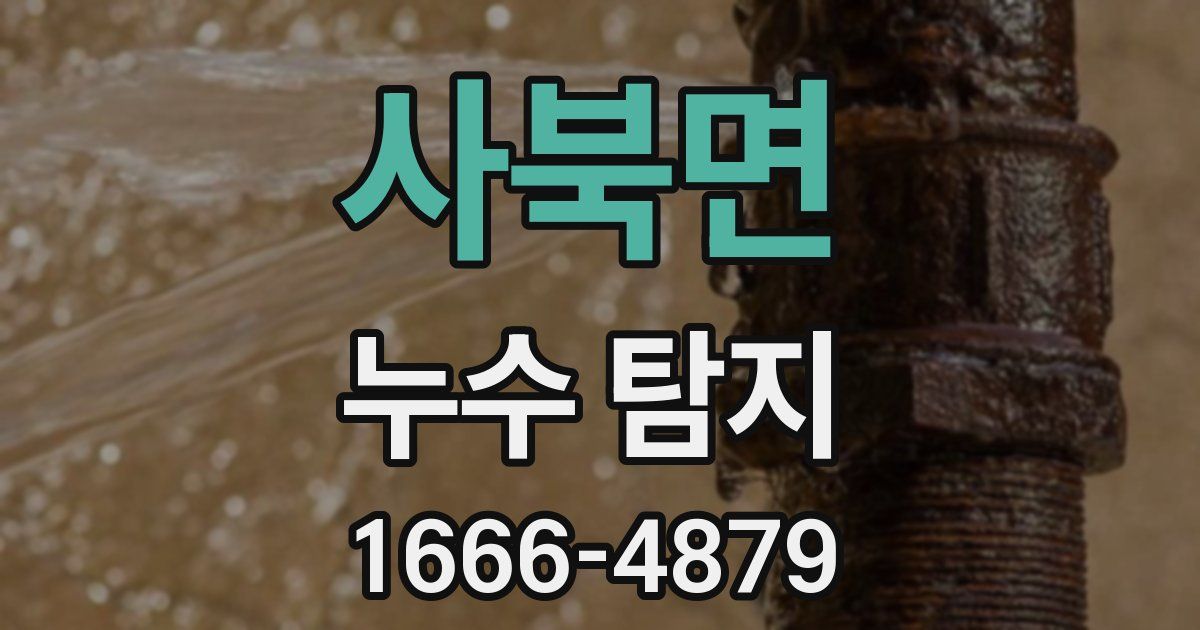 사북면 누수 탐지